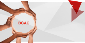 Fonctionnement du GIE - BCAC